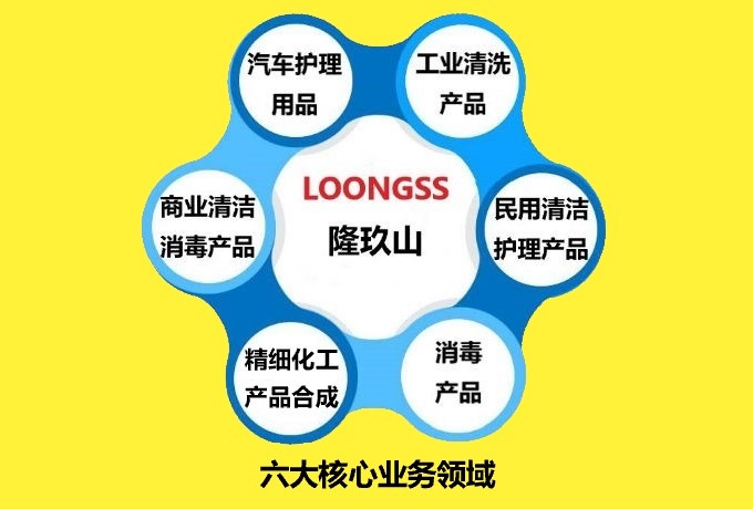 六大核心业务领域